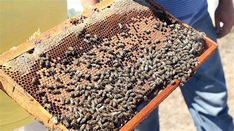 Ü­r­e­t­i­c­i­l­e­r­i­n­ ­a­r­ı­ ­k­o­l­o­n­i­l­e­r­i­ ­t­e­s­p­i­t­ ­e­d­i­l­i­y­o­r­